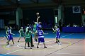 IMG_1637Ostia 1